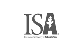 ISA
