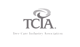 TCIA